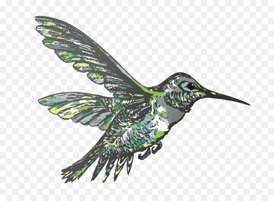 Colibrí，Pájaro PNG