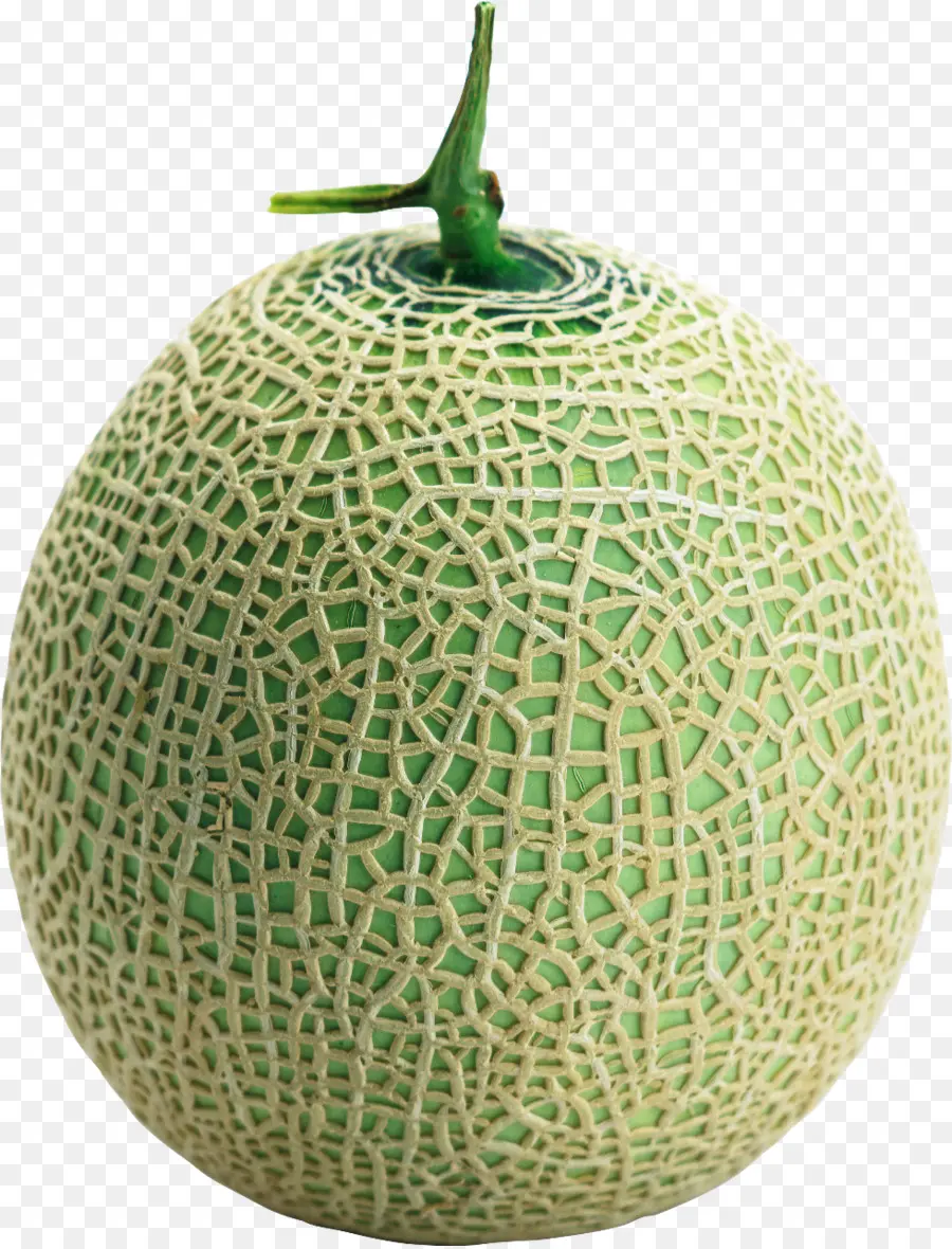 Melón，Alimento PNG