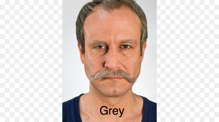 Hombre Con Barba Gris，Barba PNG