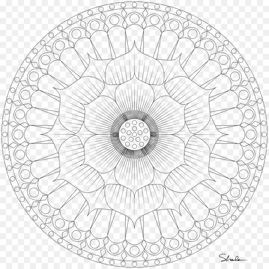 Nelumber Nucifera，Mandala PNG