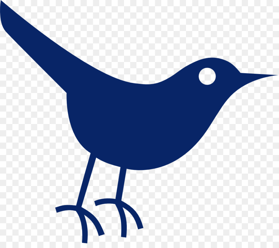 Pájaro Azul，Animal PNG