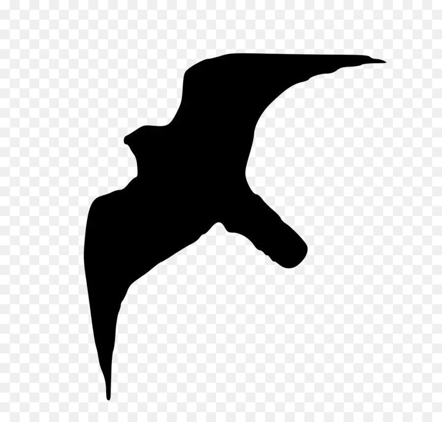 Silueta De Pájaro，Vuelo PNG