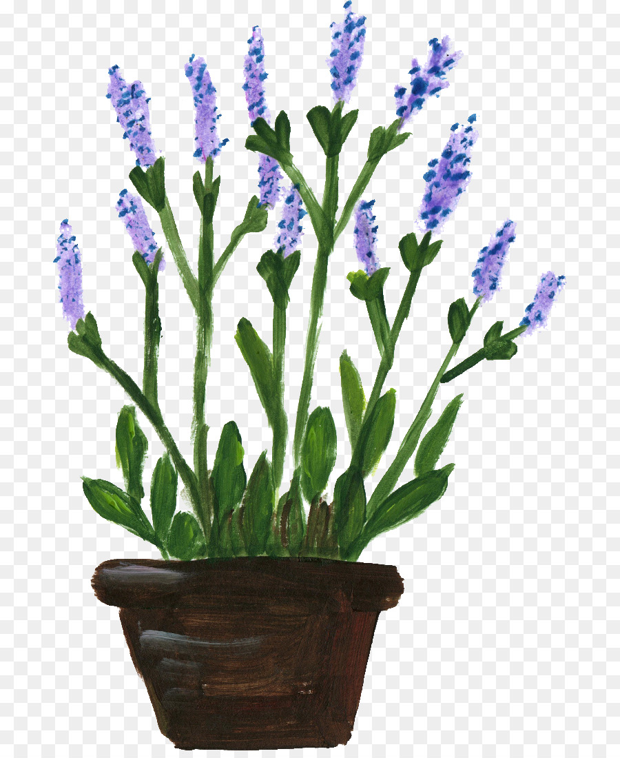 Flores Moradas Pintadas，Olla PNG