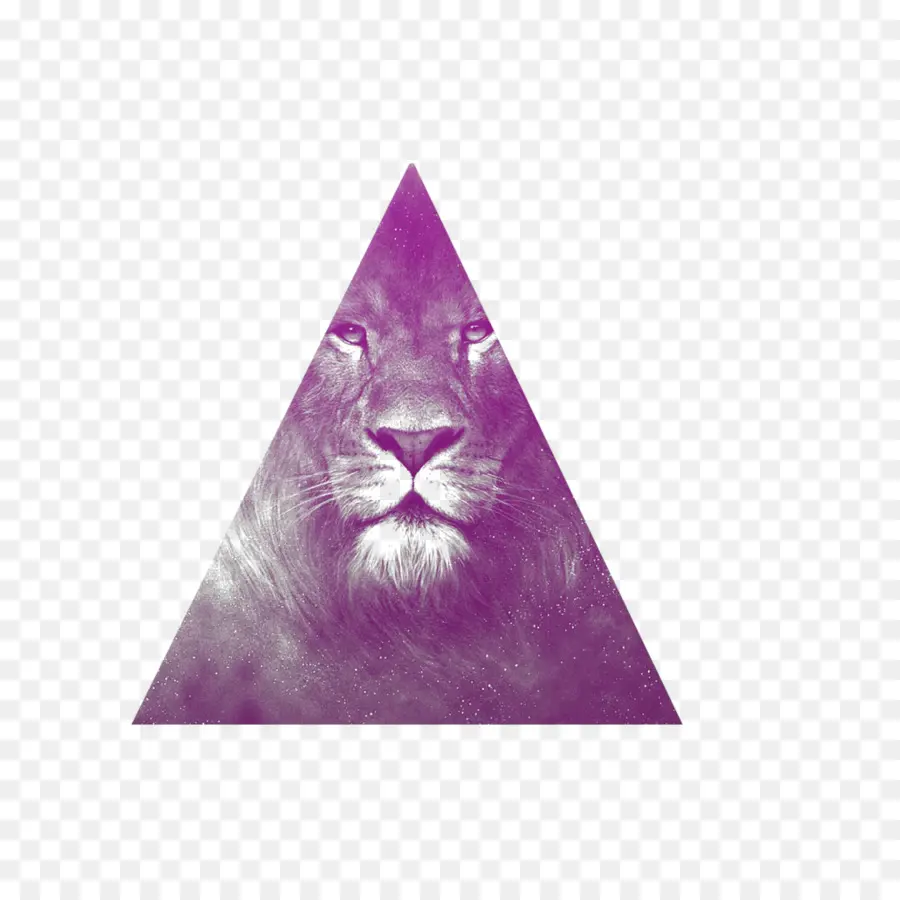 León En Triángulo，Felino PNG