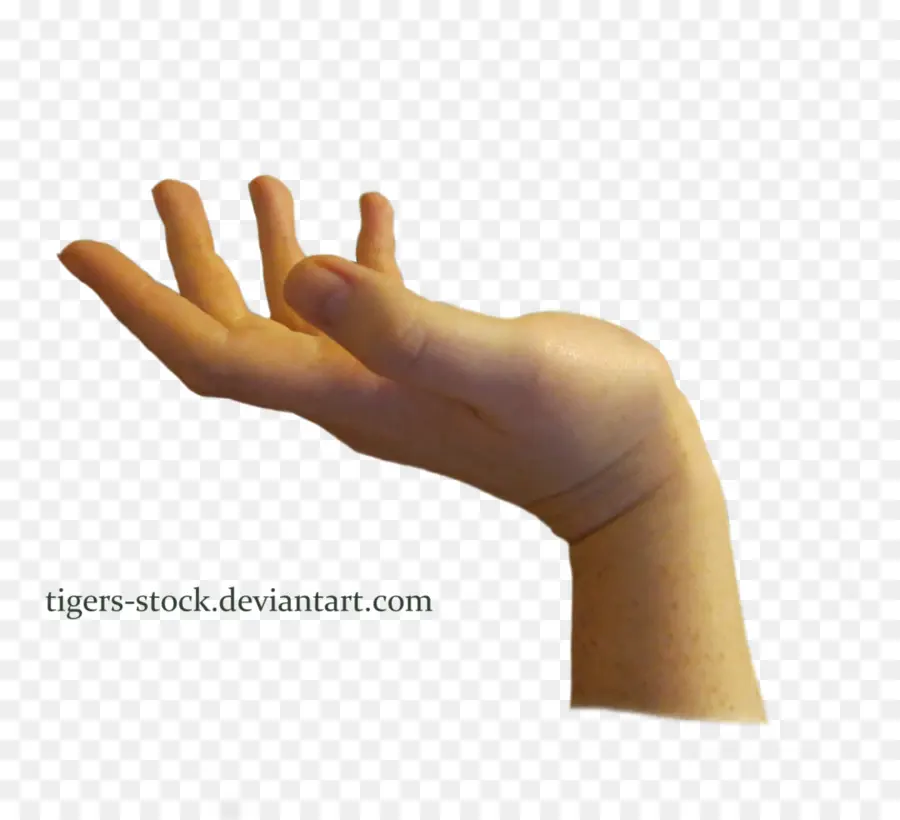 De La Mano，Dedo PNG