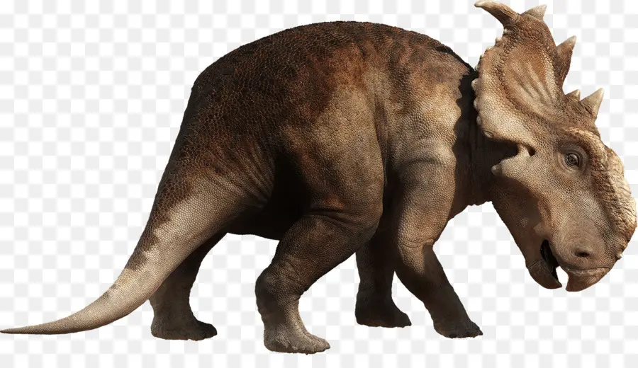 Gorgosaurus，Pachyrhinosaurus PNG