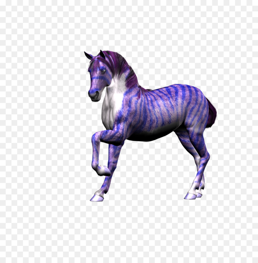 Caballo，Colt PNG