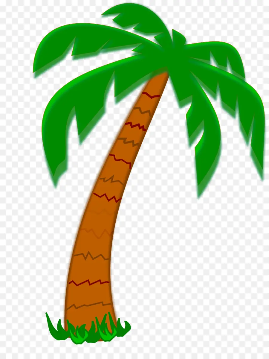 Arecaceae，árbol PNG