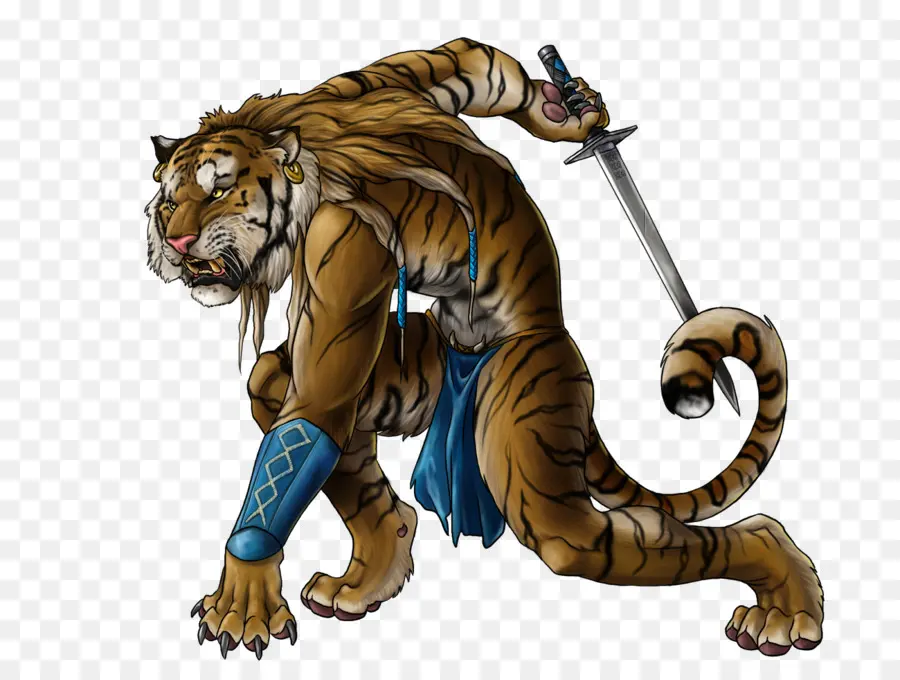 Dungeons Dragons，Tigre PNG