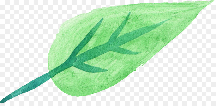 Hoja Azul，Naturaleza PNG