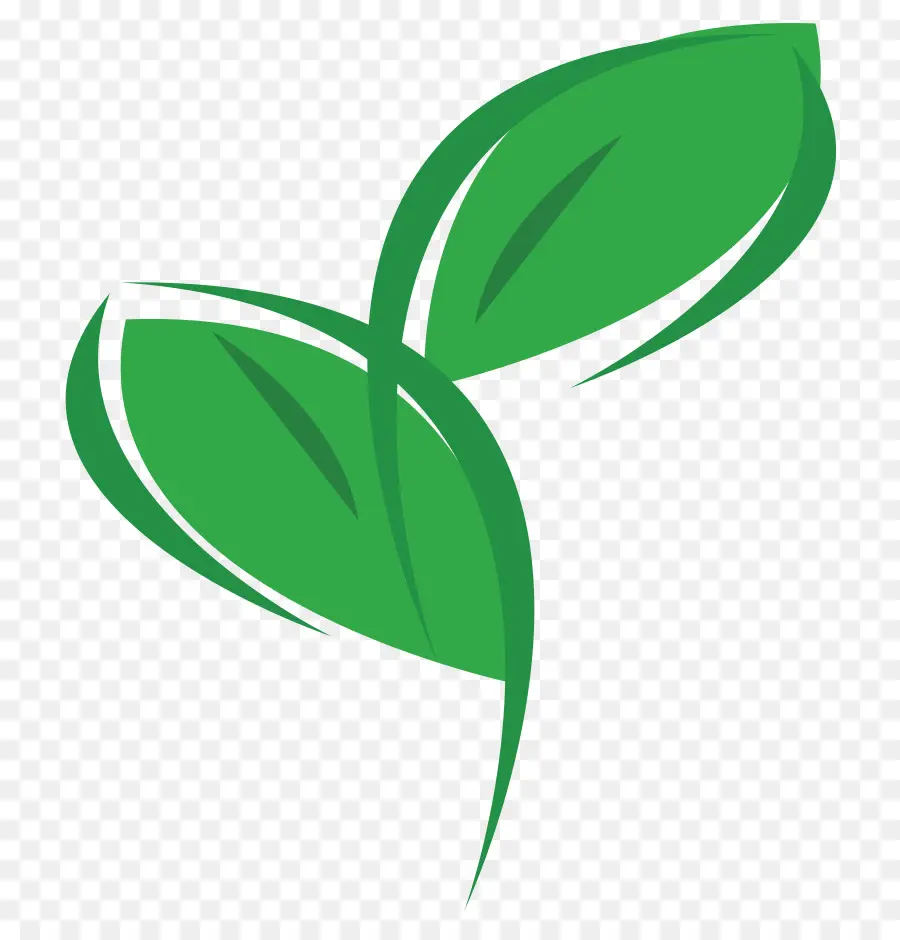 Planta，Ambientalmente Amigable PNG