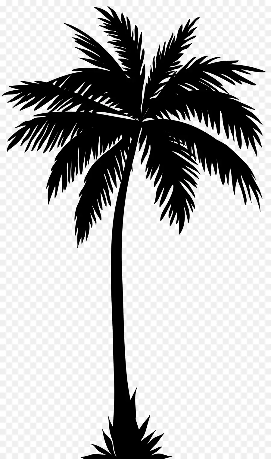 Arecaceae，Silueta PNG