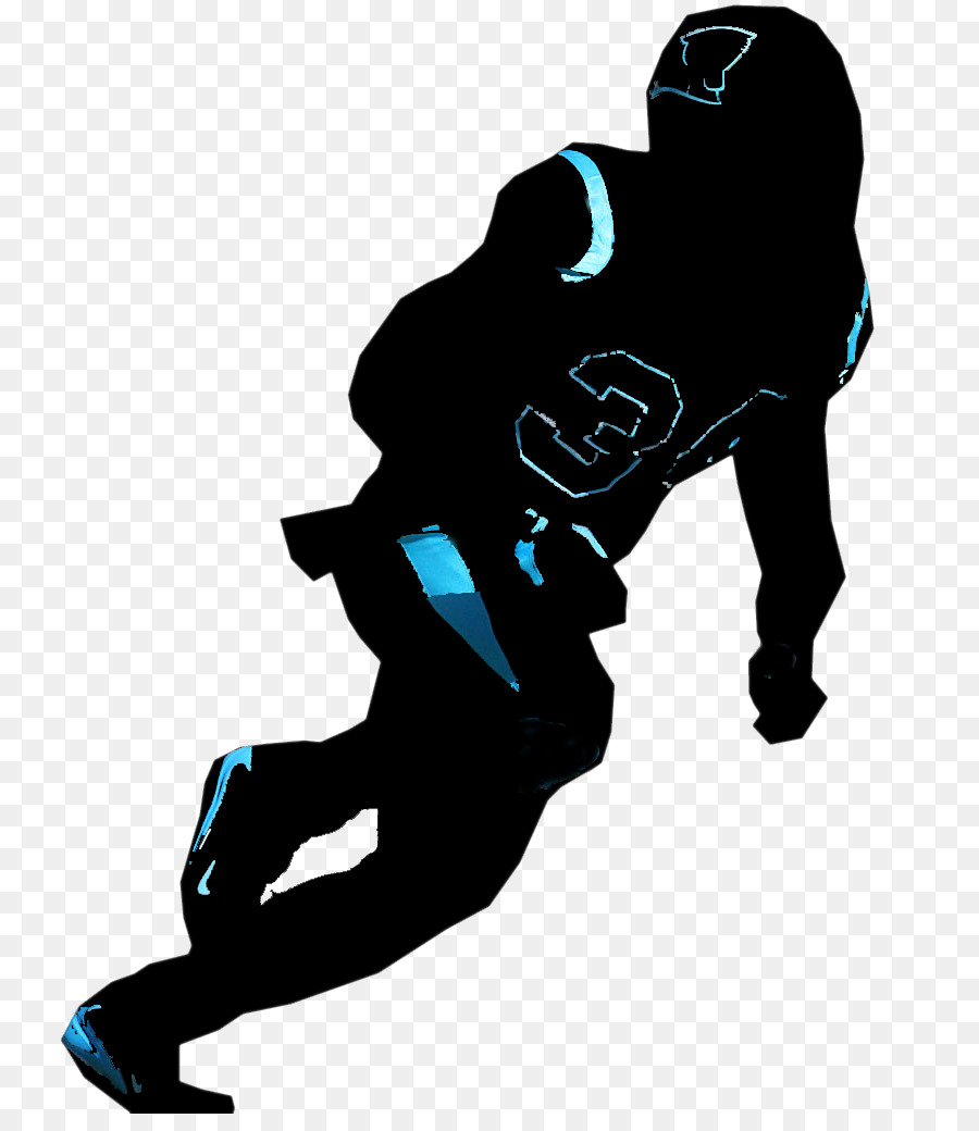 Carolina Panthers，Sir Purr PNG