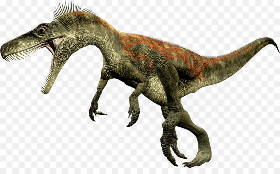 Eodromaeus，Herrerasaurus PNG