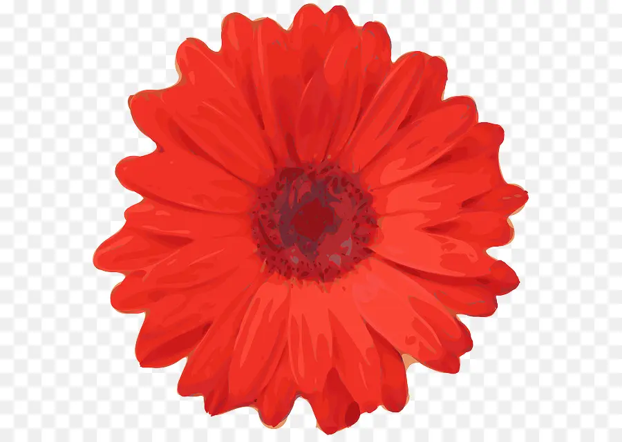 Flor Roja，Margarita PNG