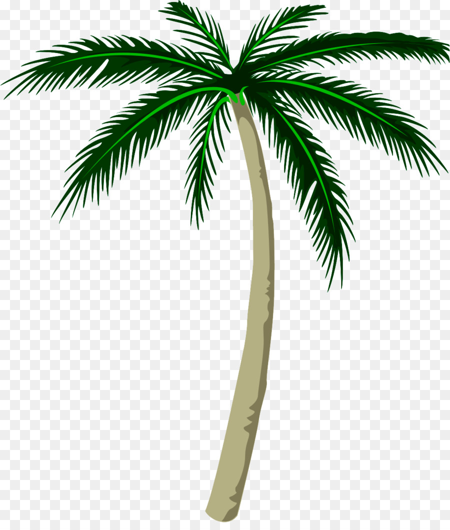 Palmera，Tropical PNG