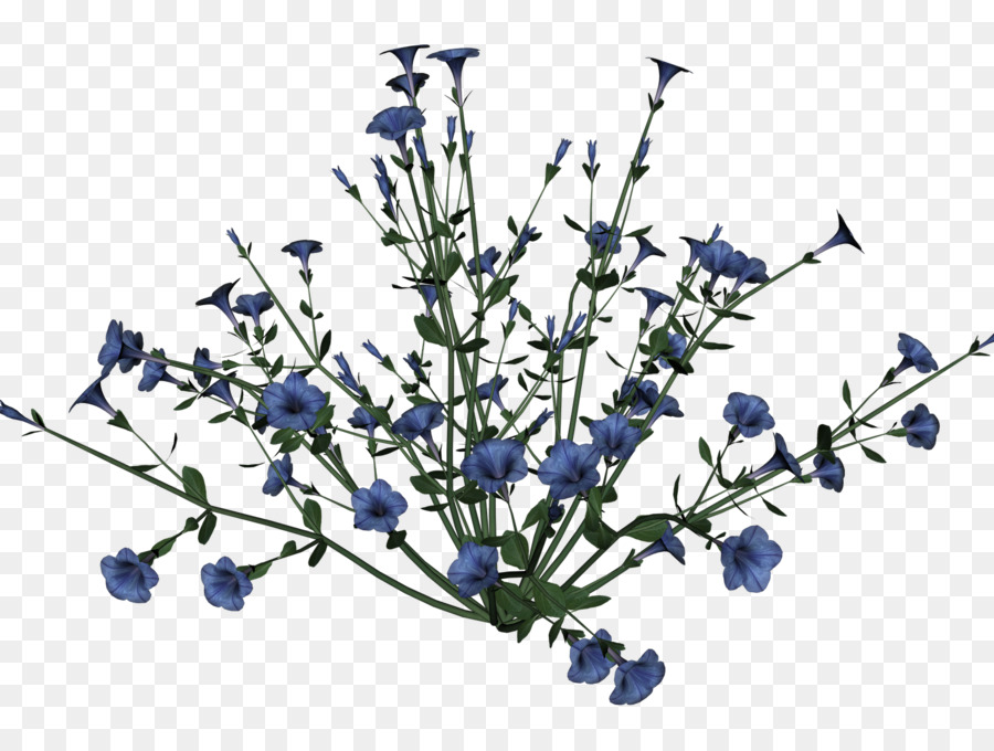 Flores Azules，Florecer PNG