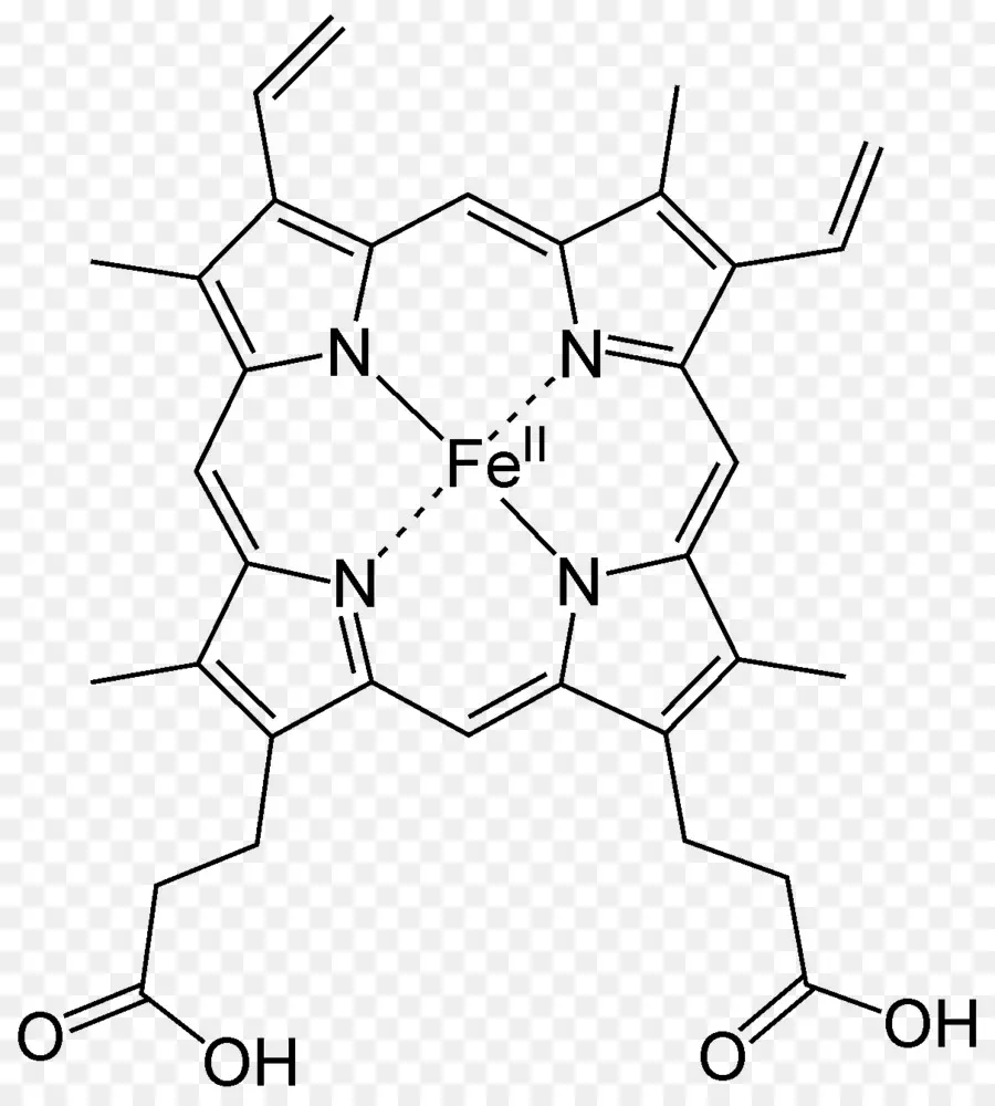 Hemo，La Hemoglobina PNG