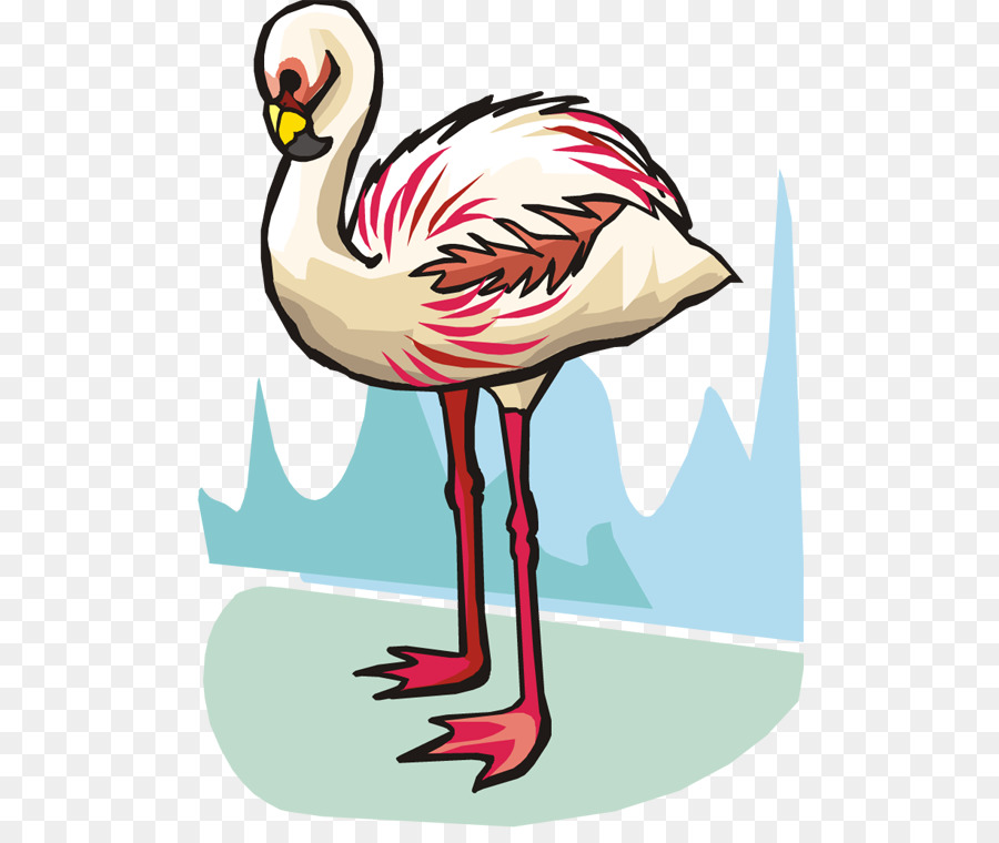 Pájaro，Flamingo PNG