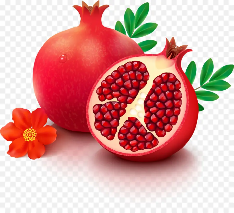 Granada，La Fruta PNG