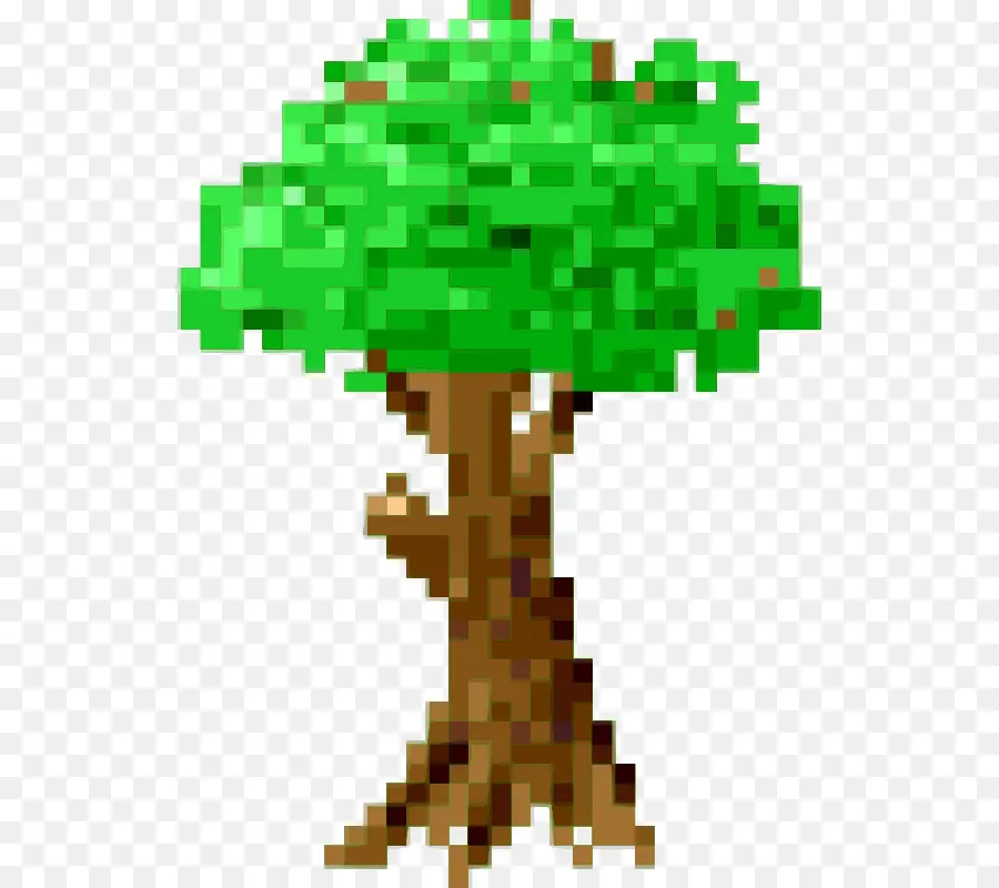 Árbol，Planta PNG