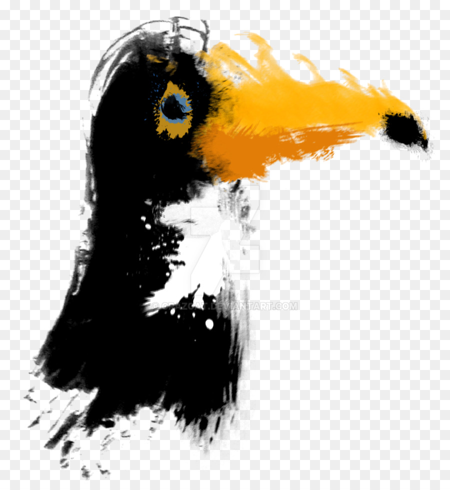 Pájaro，Pintura A La Acuarela PNG