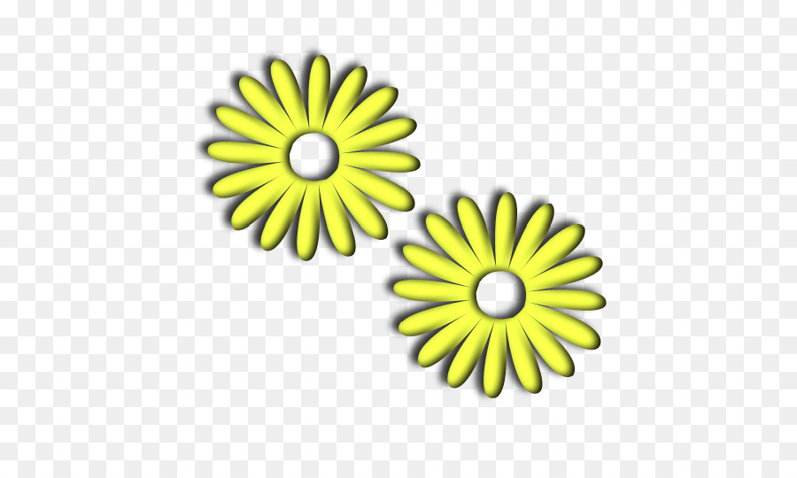 Flor，Familia Daisy PNG