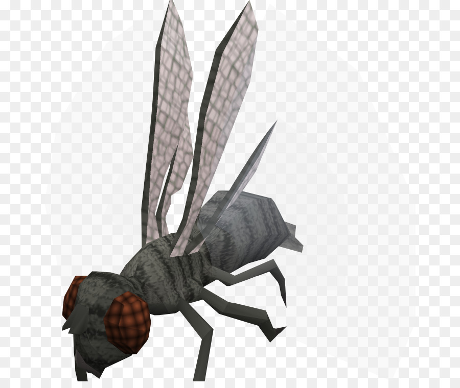 Runescape，Insecto PNG