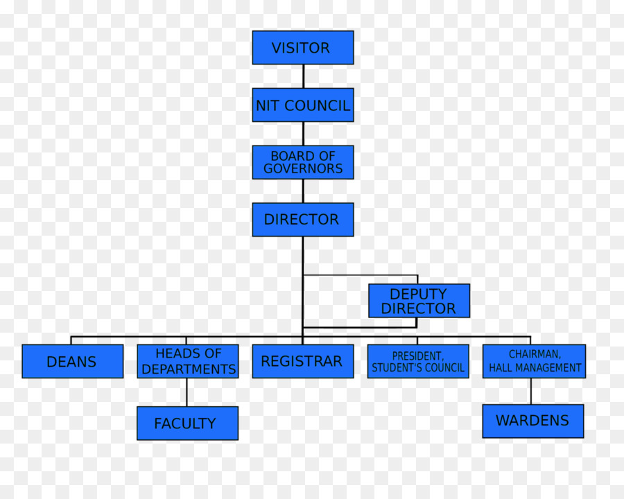 Estructura De La Organización，Organización PNG