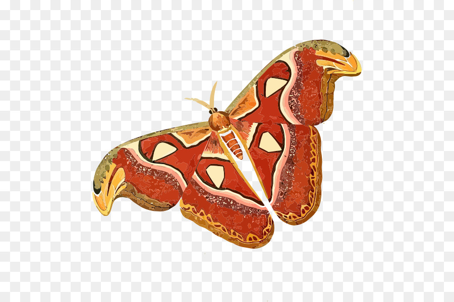 Mariposa，Insecto PNG