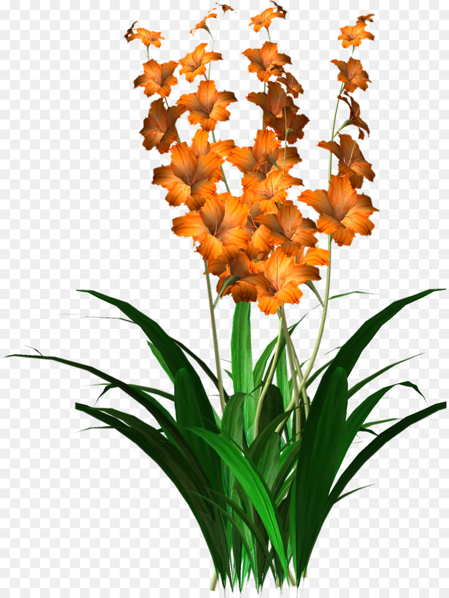 Flor，Maceta PNG