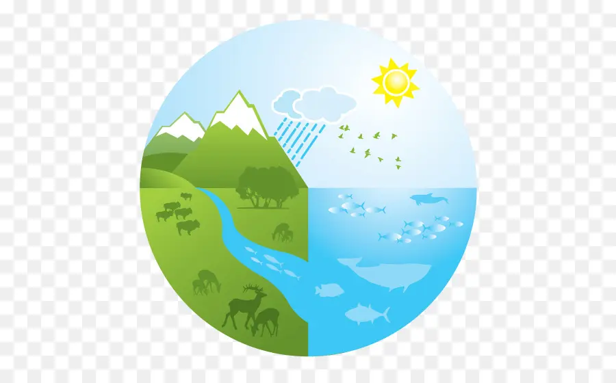 Ecosistema，Logotipo PNG