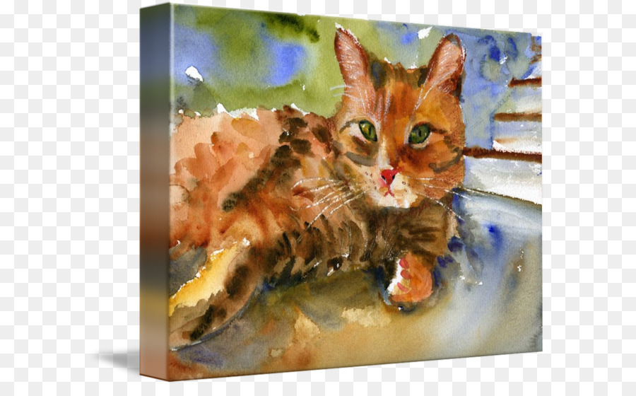 Pintura De Gato En Acuarela，Gato PNG