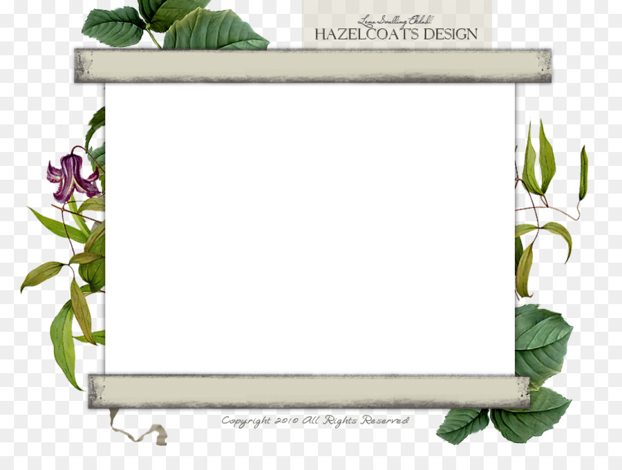 Marco Decorativo，Floral PNG