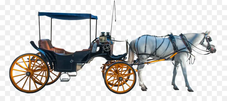 Carro De Caballos，Caballo PNG