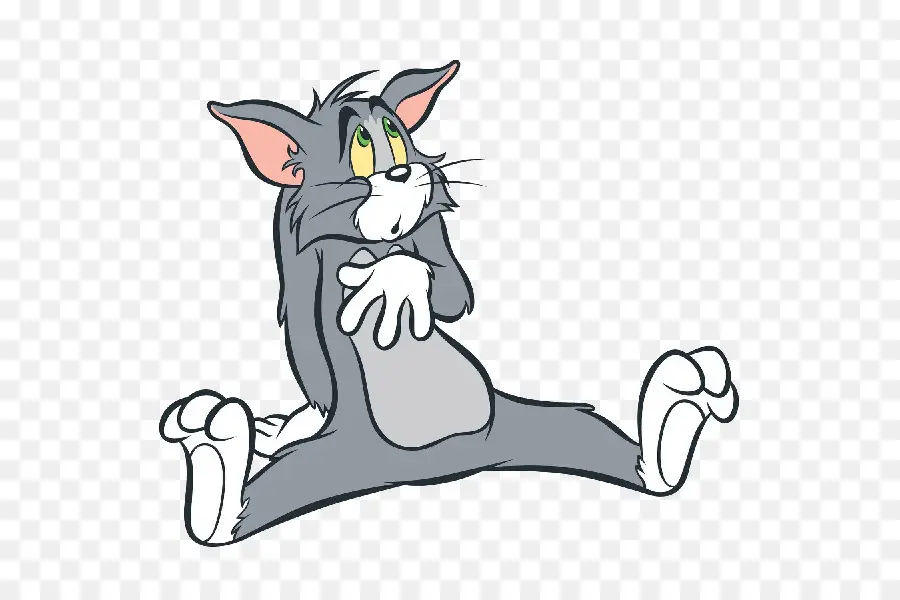 Gato Tom，El Ratón Jerry PNG