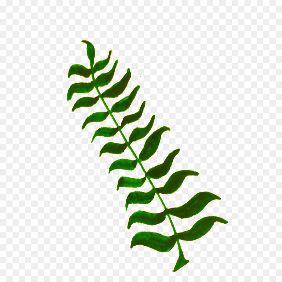 Hoja，Planta PNG