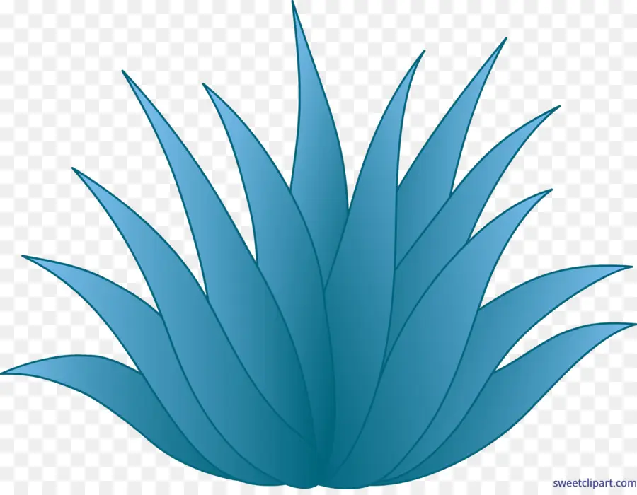 Agave Azul，Tequila PNG