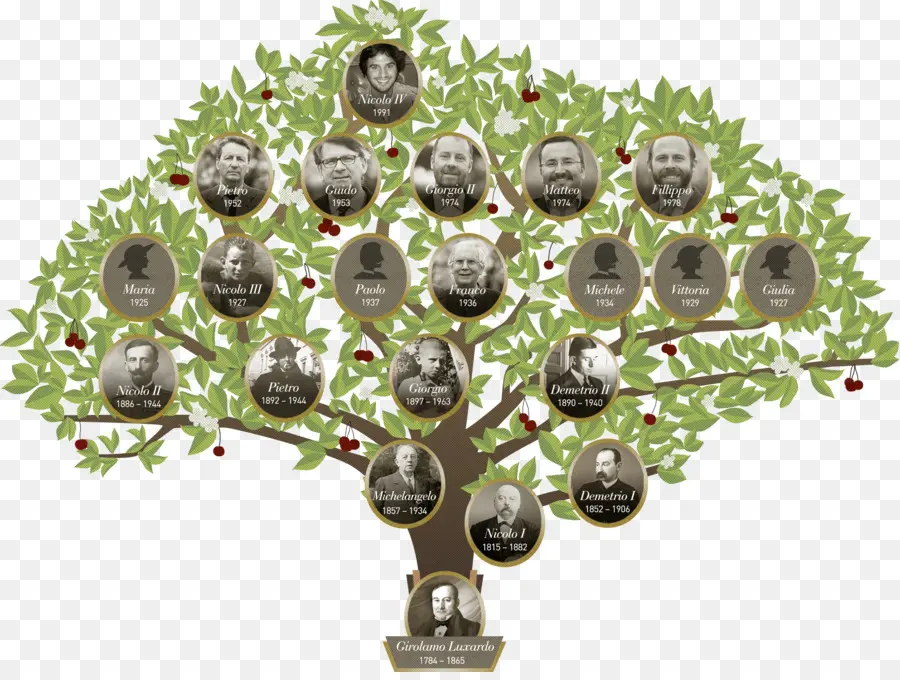 Árbol Genealógico Con Fotos，Ancestros PNG