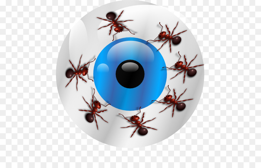 Los Insectos，Invertebrados PNG