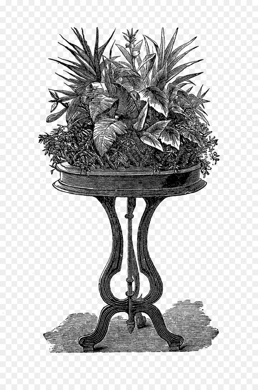 Soporte Para Plantas，Mesa PNG