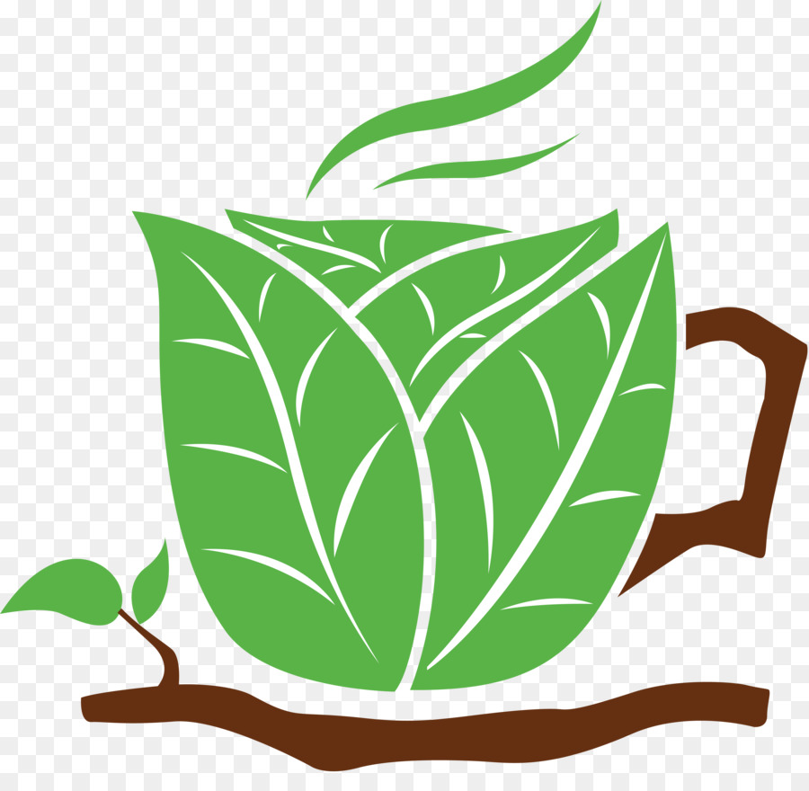 Taza De Té Verde，Hoja PNG