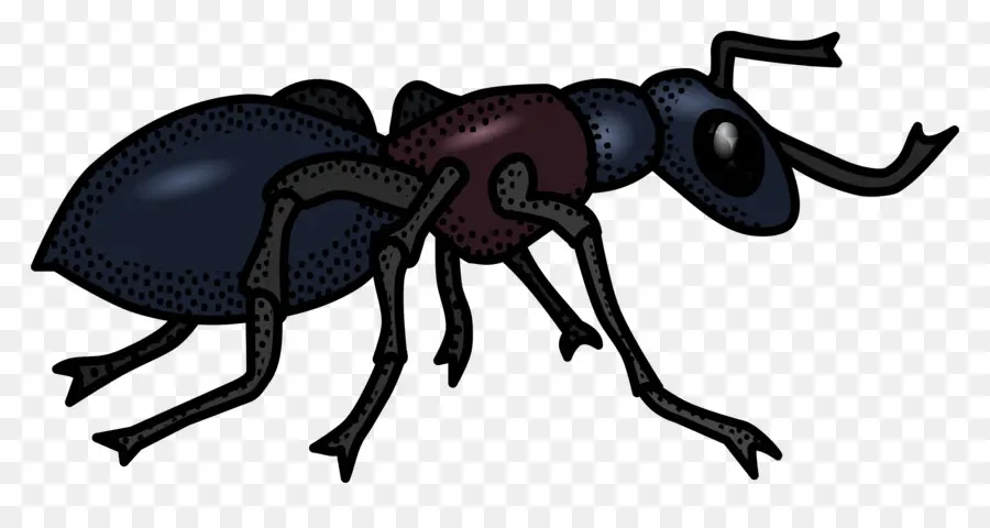 Ant，Arte De Línea PNG