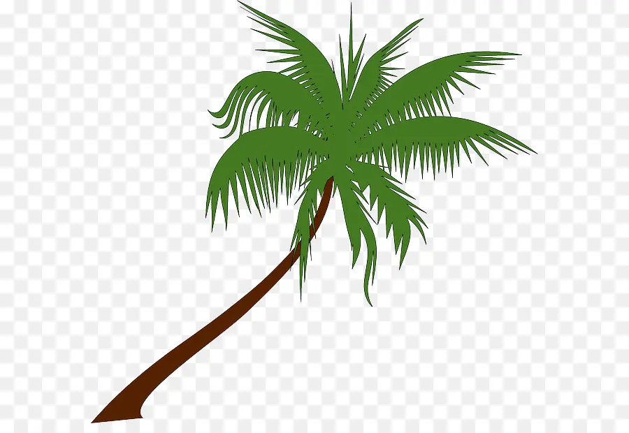 Coco，Arecaceae PNG