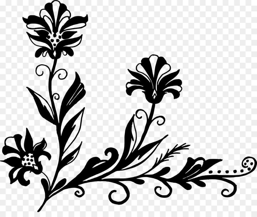 Diseño Floral，Hojas PNG