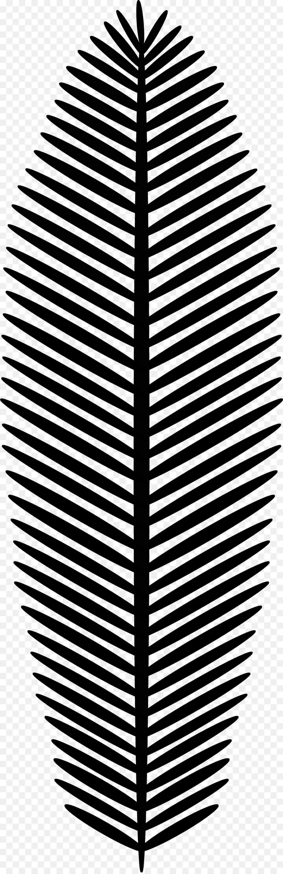 Hoja，Arecaceae PNG