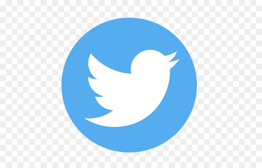 Logotipo De Twitter，Pájaro PNG