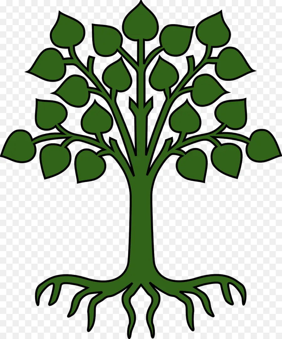 Árbol，Naturaleza PNG