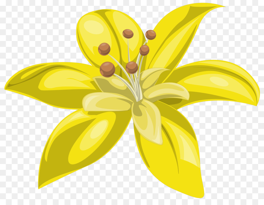 Flor，Amarillo PNG