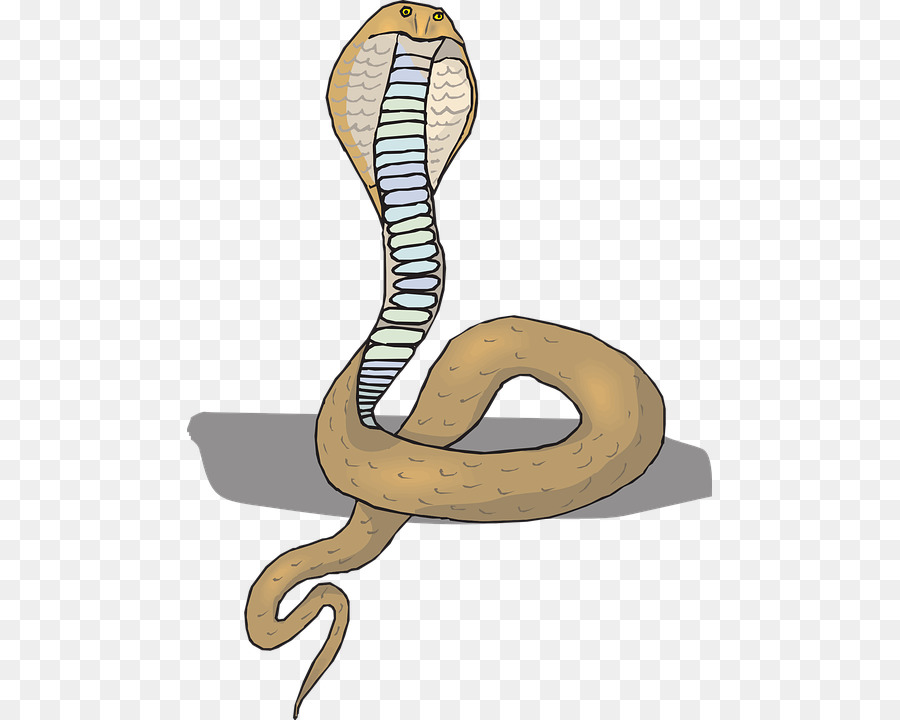 La Serpiente，Cobra PNG